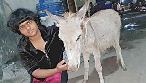 अ‍ॅड. गुणरत्न सदावर्ते यांच्या मुलीचा आगळावेगळा छंद