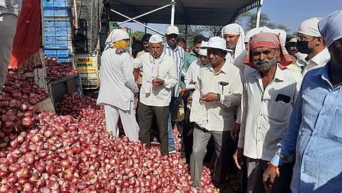  Nafed : नाफेडमार्फत लासलगाव बाजार समितीतून आजपासून कांदा खरेदी