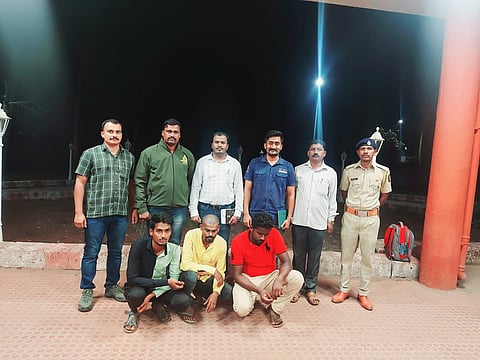 सह्याद्री व्याघ्र प्रकल्प गोठणे 