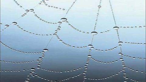 कोल्‍हापूरच्‍या प्रज्‍वलचा ‘क्‍लिक’ चमकला ‘ॲपल मॅक्रो’मध्‍ये!