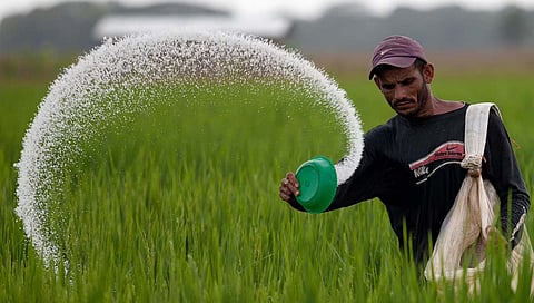 Fertilizer Price Hike