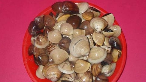 see food