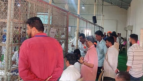 kolhapur north result : १३ व्या फेरीत जयश्री जाधवांची आघाडी ११ हजार पार
