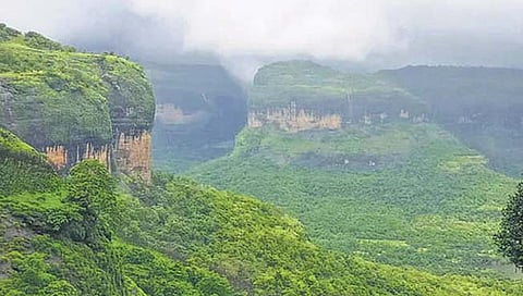 पश्चिम घाट  येथील ३० टक्के जंगल नष्ट