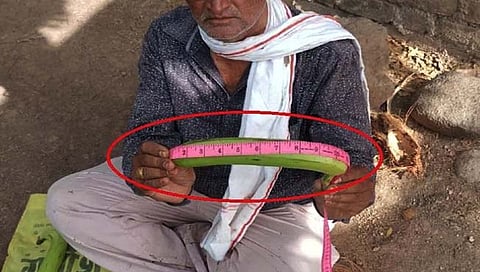 तब्‍बल १३ इंच लांबीची केळी : रिलायन्‍स कंपनी ‘या’ शेतकऱ्याची ग्राहक 