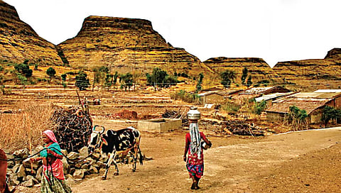 सटाणा : तालुक्यातील पश्चिम पट्ट्यातील आदिवासी भागातील महिलांना हंडाभर पाण्यासाठी मैलोन्मैल भटकंती करावी लागत आहे. (छाया ः सुरेश बच्छाव)