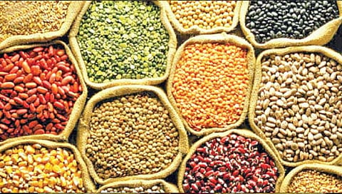 सोलापूर : बियाणे खरेदीसाठी अनुदान 600, खर्च 900 रु.