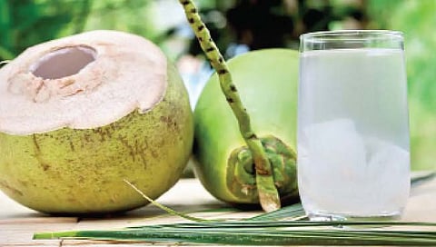 Diet for Summer Season : कसा असावा उन्हाळ्यातील आहार?