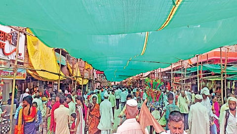 पंढरपूर : मोहिनी एकादशीनिमित्त भाविकांनी दर्शन घेण्यासाठी मंदिर परिसरात केलेली गर्दी. 
