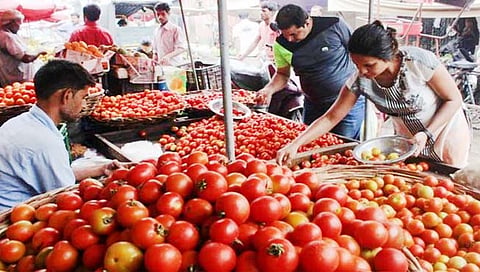 Tomato prices | सर्वसामान्यांना मिळणार दिलासा; टोमॅटो दर ३० टक्क्यांनी घसरणार