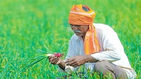 PM Kisan : पीएम किसान योजनेचा ११ वा हप्ता मिळाला नाही?; ‘या’ नंबरवर कॉल करा