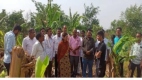 जळगाव : नुकसान झालेल्या केळी बागांची पाहणी करताना खासदार रक्षा खडसे. समवेत  भाजपाचे जिल्हा सरचिटणीस हर्षल पाटील, भाजपा किसान मोर्चाचे जिल्हाध्यक्ष नारायण  चौधरी, तालुकाध्यक्ष उमेश फ़ेगडे, जिल्हा चिटणीस सविता भालेराव, तालुका सरचिटणीस विलास चौधरी, उज्जैनसिंग राजपूत आदी. (छाया: चेतन चौधरी)