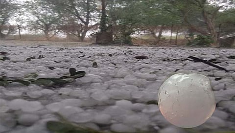  गारपीटीची शक्यता