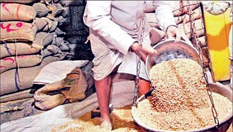 Free Ration | मोफत रेशन धान्य मिळणार की नाही, सरकार मोठा निर्णय घेण्याच्या तयारीत