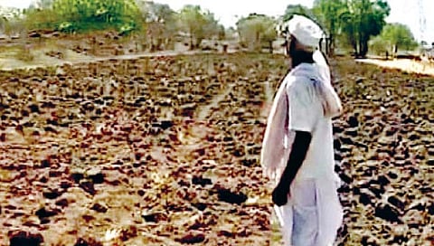 बळीराजाला राज्य सरकारचा दिलासा ; नियमित कर्ज फेडणार्‍या शेतकर्‍यांना 50 हजार अनुदान