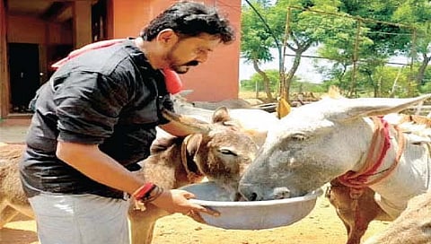 ‘आयटी’ची नोकरी सोडली अन् गौडांना गाढव पावले!!