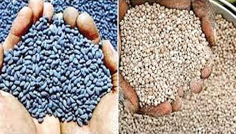 सातारा जिल्ह्यातील 14 कृषि दुकानांचे परवाने निलंबित