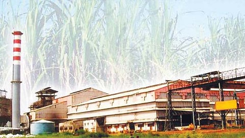 राज्यातील गळीत हंगामाचे सूप वाजले