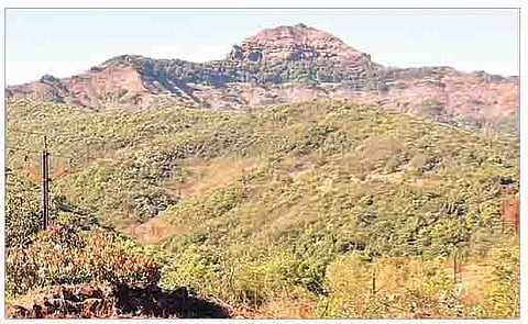 पुणे : हिरडस-मावळ खोर्‍याला संवर्धन वन क्षेत्र दर्जा