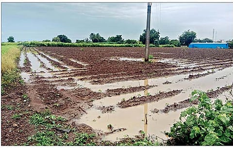 जवळा : परिसरात पावसाने जोरदार हजेरी लावल्याने शेतात पाणी साचले आहे.(छाया : सतीश रासकर)