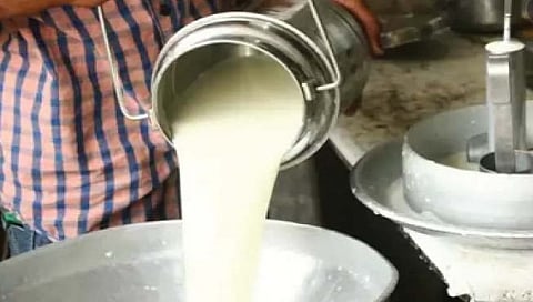 दुग्ध दिनाच्या मुहूर्तावर शेतकर्‍यांना फटका; गायीच्या दूध खरेदी दरात कपात