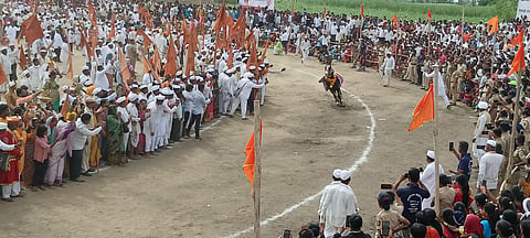 बेलवाडीत अश्वाचे गोल रिंगण मोठ्या उत्साहात पार पडले.