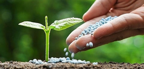 नगर : शेतकर्‍यांना रासायनिक खतांची यंदाही टंचाई