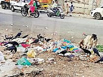 हिंजवडी : रस्त्यावर कचरा टाकाल तर होईल शिक्षा, कचरा बहाद्दरांना पाच हजारांचा दंड आणि पोलिसांचा ससेमिरा