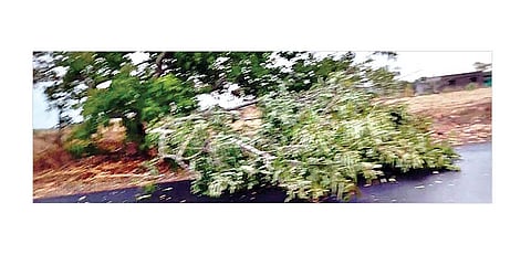 कर्जतमध्ये वादळी वार्‍यासह पाऊस