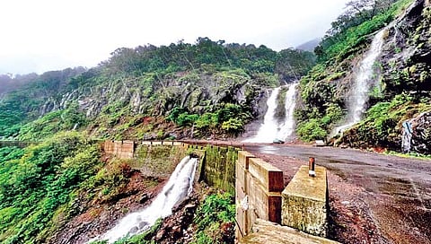 महाबळेश्‍वरात कोसळधारा