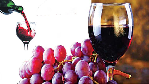 winery in nashik : विंचूरला वाइनरींचे जाळे आणखी विस्तारले, तीन मोठ्या कंपन्यांचे आगमन