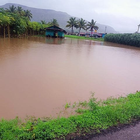 ओतूर परिसरात संततधार पावसाने पिकांचे नुकसान; दुबार पेरणीचे संकट ओढावले