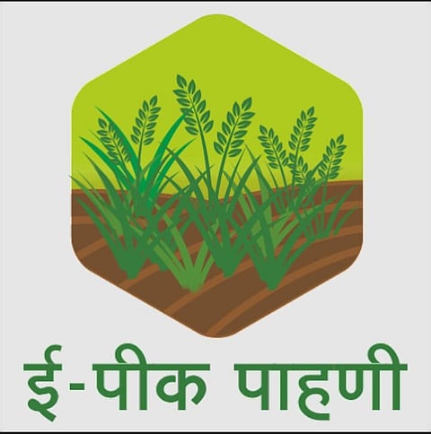 ई-पीक पाहणी अ‍ॅपबाबत विद्यार्थ्यांना प्रशिक्षण