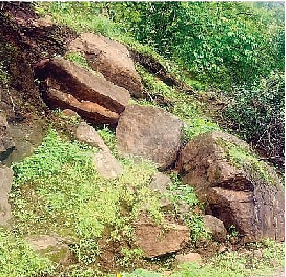 पावसामुळे 
करंजावणे-शिवापूर 
रस्त्याच्या कुसगाव खिंडीत दरडी कोसळण्याचा धोका निर्माण झाला आहे. 
उन्मळून आलेल्या 
दरडी.