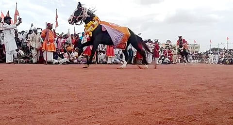 इंदापूर : लाखो नेत्रांनी अनुभवला इंदापूरातील गोल  रिंगण सोहळा 