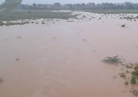 कोपरगाव : गोदावरी कालव्यांना ओव्हरफ्लोचे पाणी सोडा : स्नेहलता कोल्हे
