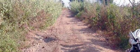 जामखेड : पाणंद रस्ते अडकणार चौकशीच्या फेर्‍यात?