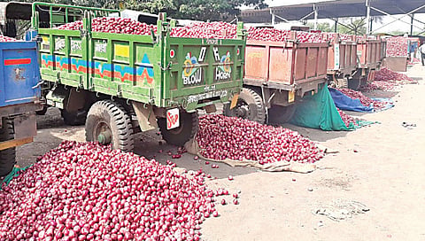 नाशिक : कांद्याची 20 दिवसांतच 50 टक्क्यांनी घसरण