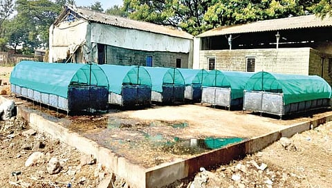 शेतीमालाच्या वेस्टेजपासून गांडूळ खत प्रकल्प