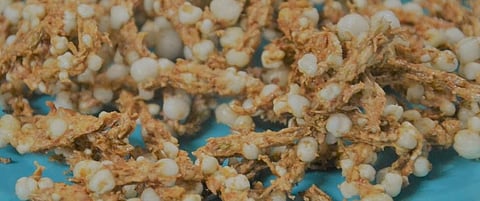 Shravan Special : कच्च्या केळ्यांची चकली 