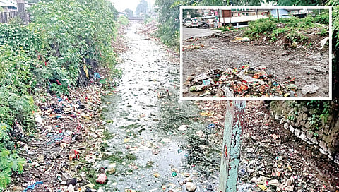 पंचवटी : सडलेले पाणी आणि दुर्गंधीयुक्त कचऱ्याने भरलेले पाटाचे पात्र.  तसेच पाटालगतच्या रस्त्यावर साचलेला कचरा. (छायाचित्रे : गणेश बोडके)
