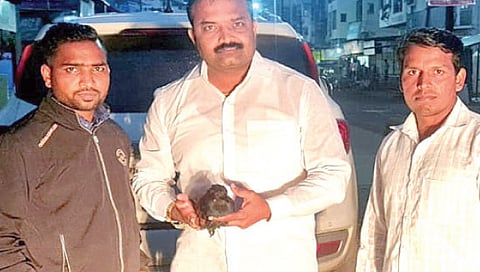 घोटी : भारद्वाज पक्ष्याला वाचविण्यासाठी प्रयत्न करताना संदीप किर्वे, प्रताप जाखेरे, शिवा तातळे.