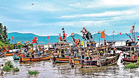 पालघर : मासेमारीच्या सोनेरी हंगामाला फटका