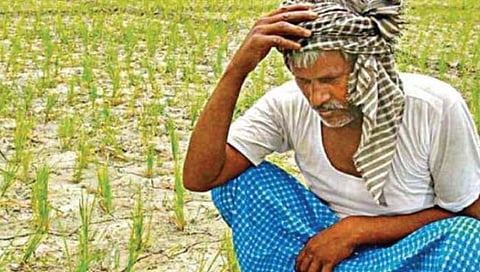 सातारा : शासनाच्या निकषाचा बहुतांश शेतकर्‍यांना तोटा