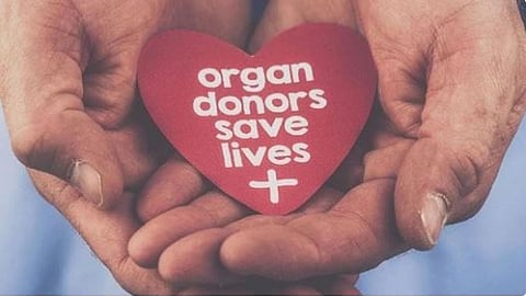 Sangali Organ Donation News 