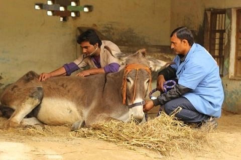 संग्रहित 
