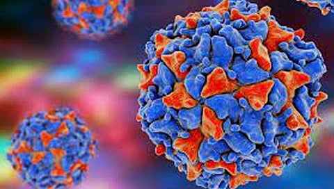 polio virus
