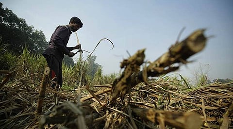 पुणे : ऊसतोडणी कामगारांच्या सुरक्षेकडे दुर्लक्ष