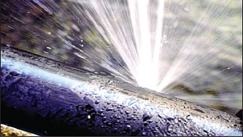 File Photo
