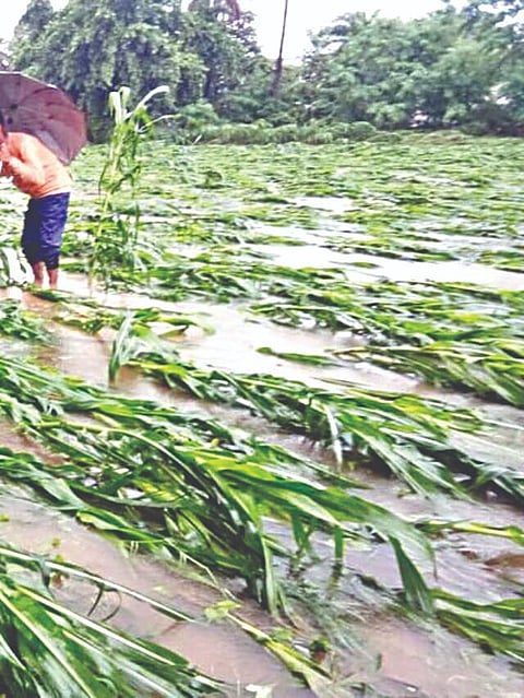 नुकसानभरपाई निधी www.pudhari.news 